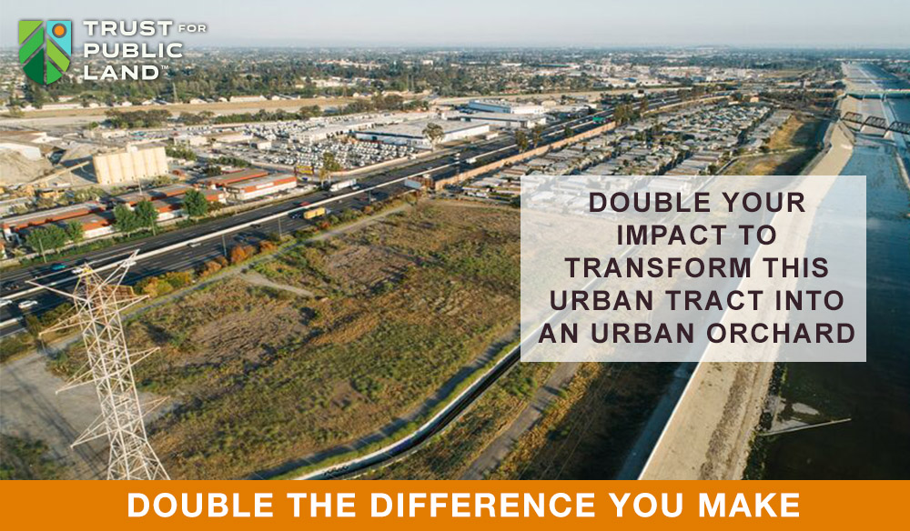 CA  Mansdorf Property / Keep natural landscapes natural for generations to come. Your year-end gift matched up to $250,000. Double your impact.