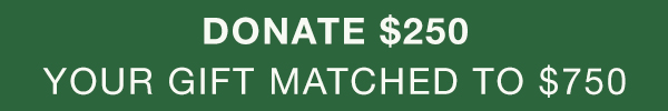 Donate $250. Your gift matched to $750