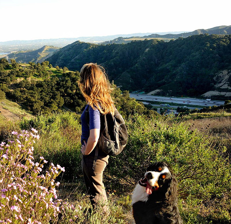 Hiker and dog overlook hills